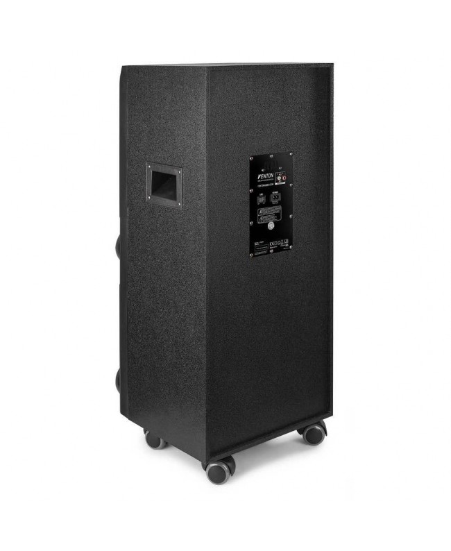 Fenton LIVE2104 KaraokeStat.2x10USB,2XMic Battery powered PA