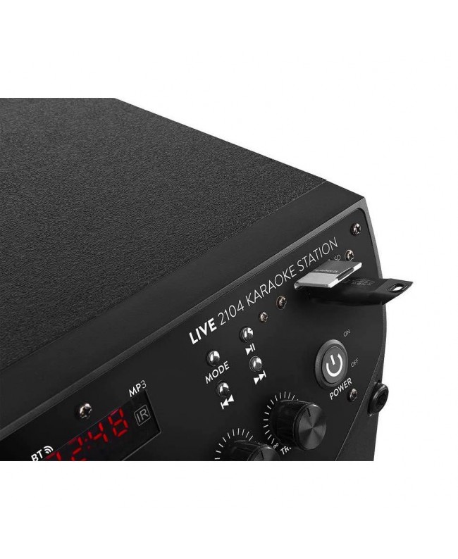 Fenton LIVE2104 KaraokeStat.2x10USB,2XMic Akkubetriebene PA-Lautsprecher