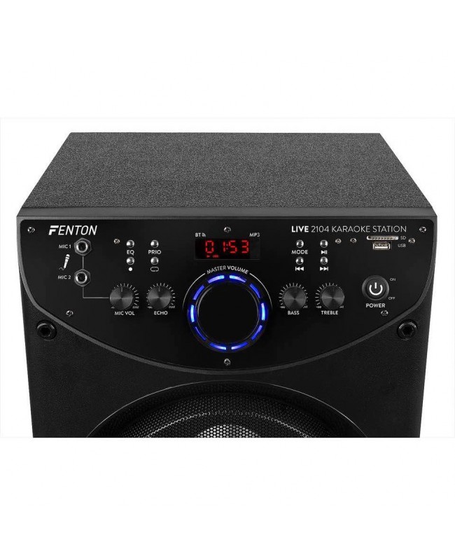 Fenton LIVE2104 KaraokeStat.2x10USB,2XMic Battery powered PA