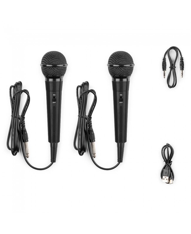 Fenton KAR15B Karaoke Sp.2Mic.BT.LED Batt Bl Altoparlanti Hi-Fi