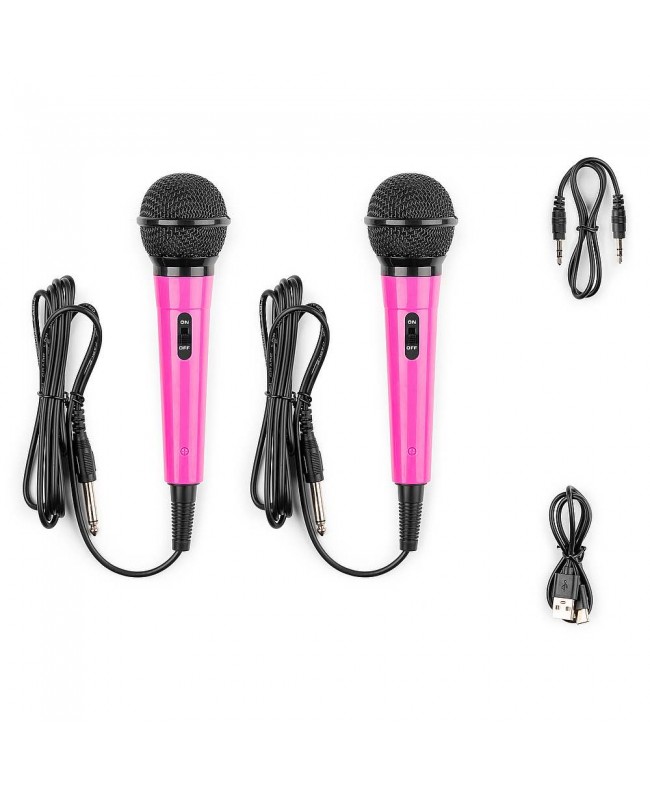 Fenton KAR15P Karaoke Sp.2Mic.BT.LED Batt Pnk Altoparlanti Hi-Fi