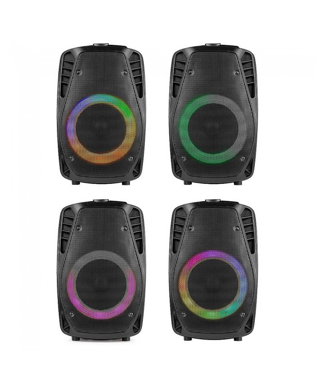 Fenton FT8LED-MK2 Port.System 8 BT/micro Akkubetriebene PA-Lautsprecher