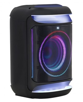 Fenton Track165 6,5BT,TWS,LED Battery powered PA