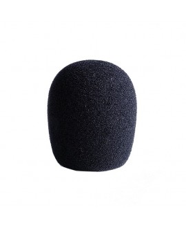 LEWITT LCTWSXS Antivento
