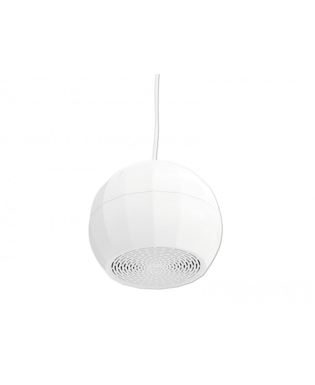 Omnitronic Diffusore da soffitto WP-2H Altoparlanti interni 100 V