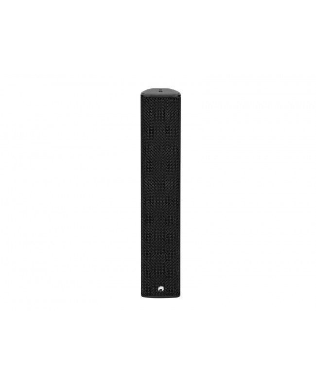 Omnitronic ODC-244T Altoparlante a colonna per esterni nero Altoparlanti esterni 100 V