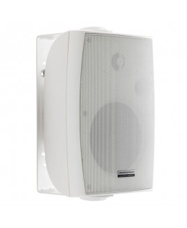 Audiophony PA EHP880 W 100 V Innenlautsprecher