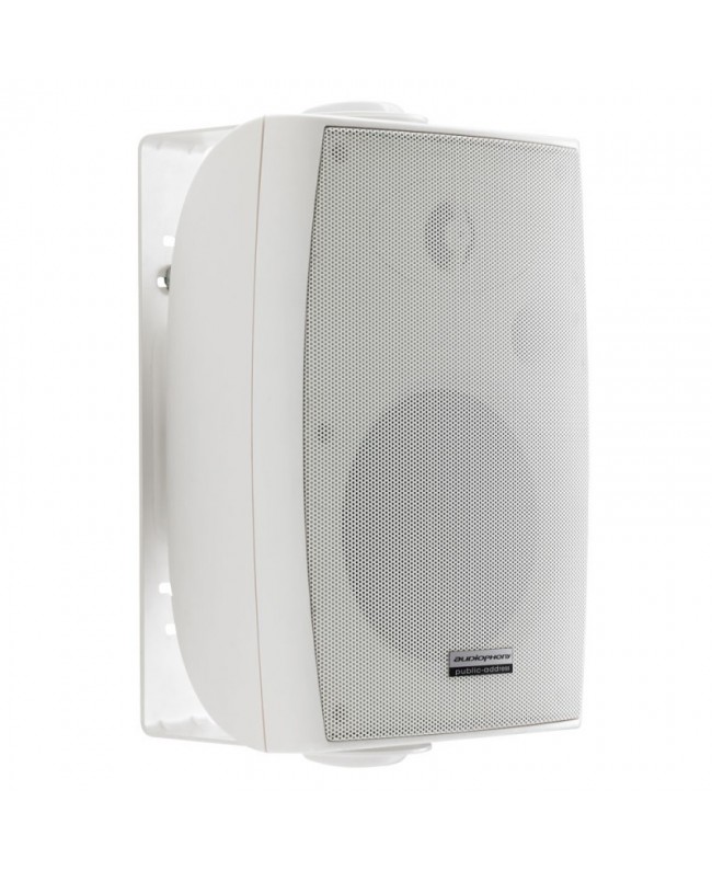 Audiophony PA EHP520w 100 V Indoor speakers