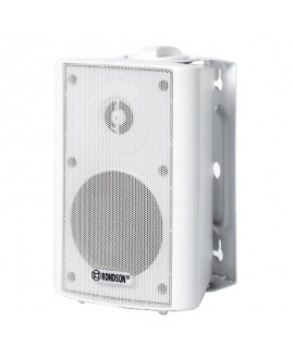Rondson WS 31S 100 V Indoor speakers