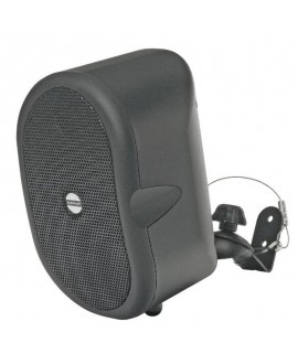 Rondson CSB-20T BK 100 V Indoor speakers
