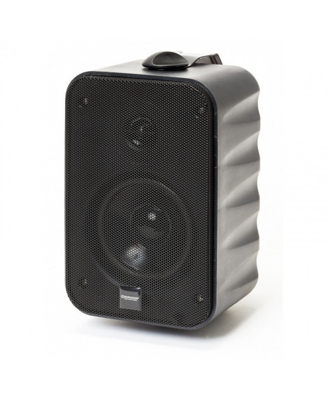 Rondson PBT 10 N 100 V Indoor speakers