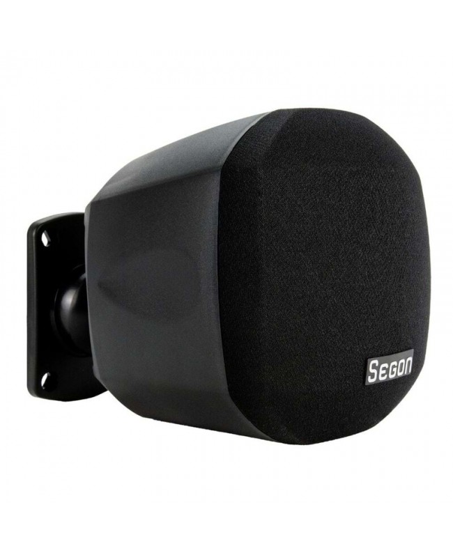 Segon Professional Audio JS-EST20TN 100 V Indoor speakers