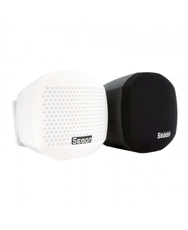 Segon Professional Audio JS-EST20TN 100 V Innenlautsprecher