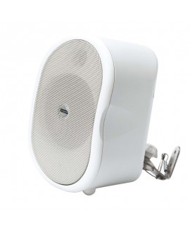 Rondson CSB-40T 100 V Indoor speakers