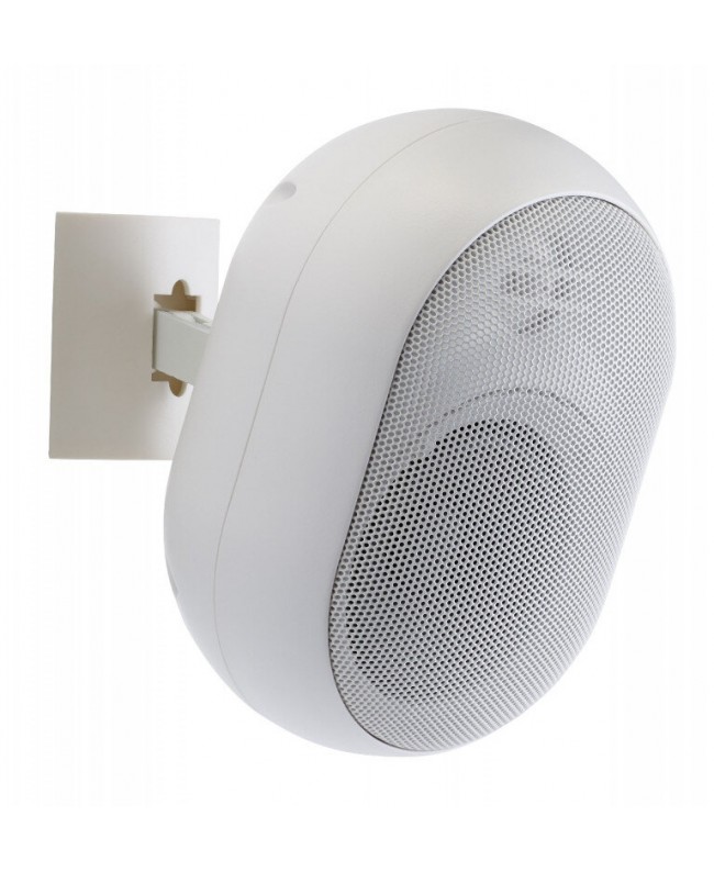 Audiophony PA JAVA315w Altoparlanti esterni 100 V