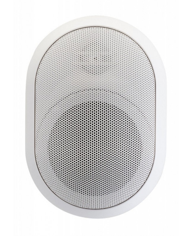 Audiophony PA JAVA315w 100 V Außenlautsprecher