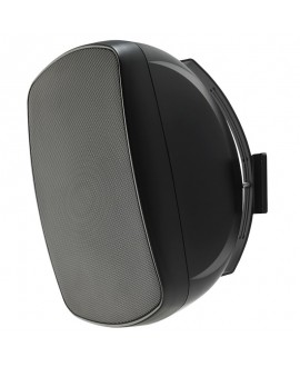 Audiophony PA Borneo660b 100 V Outdoor speakers