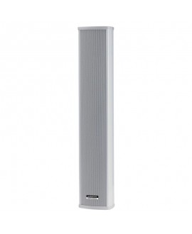 Audiophony PA CLS660 100 V Outdoor speakers