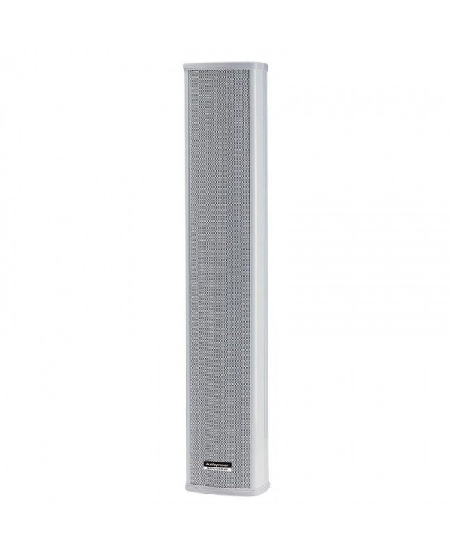 Audiophony PA CLS660 100 V Outdoor speakers