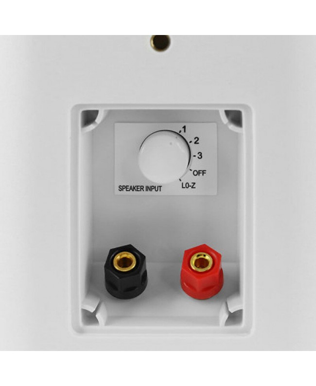 HPA WS-650WH 100 V Außenlautsprecher