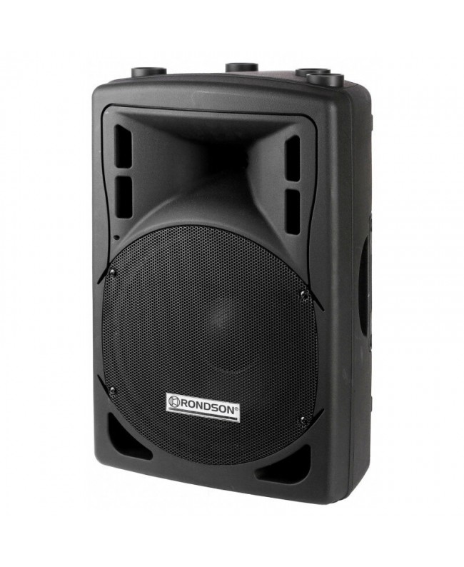 Rondson SPC-250T 100 V Outdoor speakers