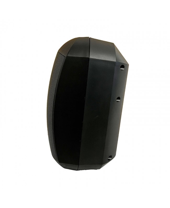 Rondson PLS-60WPN Altoparlanti esterni 100 V