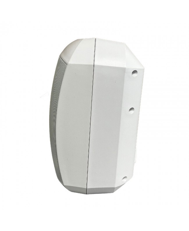 Rondson PLS-60WPB Altoparlanti esterni 100 V