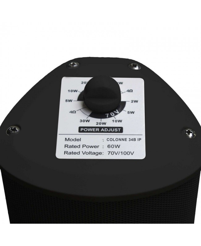 Definitive Audio COLUMN 34B IP 100 V Outdoor speakers