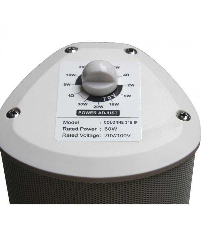 Definitive Audio COLUMN 34WH IP 100 V Outdoor speakers