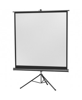 celexon 1090017 Video Projector Screens