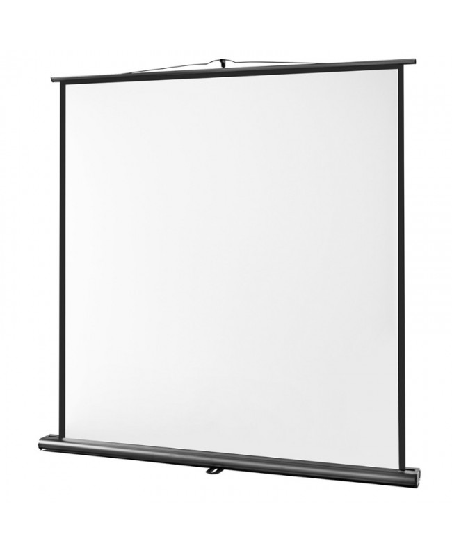 celexon 1091780 Video Projector Screens