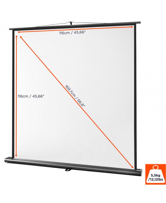 celexon 1091780 Video Projector Screens