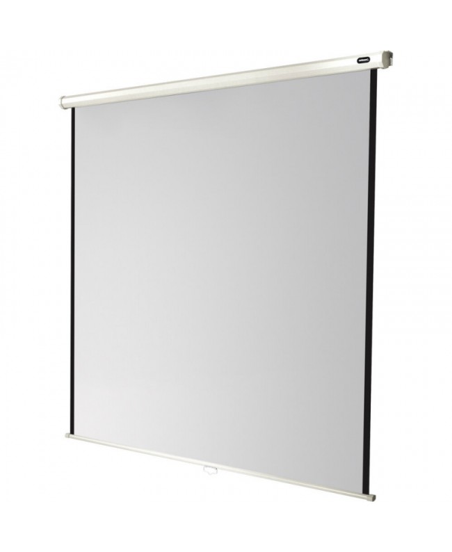 celexon 1090030 Video Projector Screens