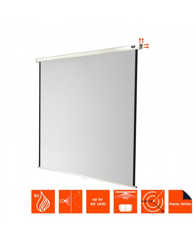 celexon 1090031 Video Projector Screens