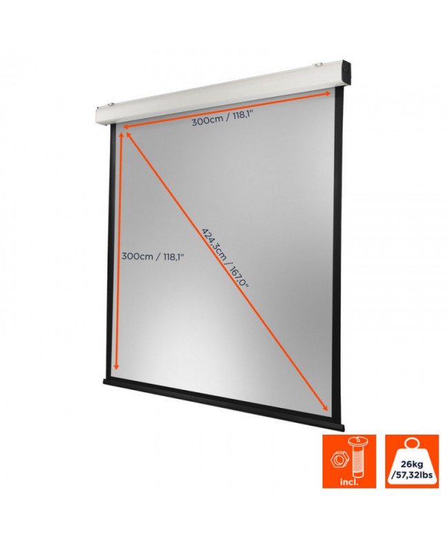 celexon 1090214 Video Projector Screens