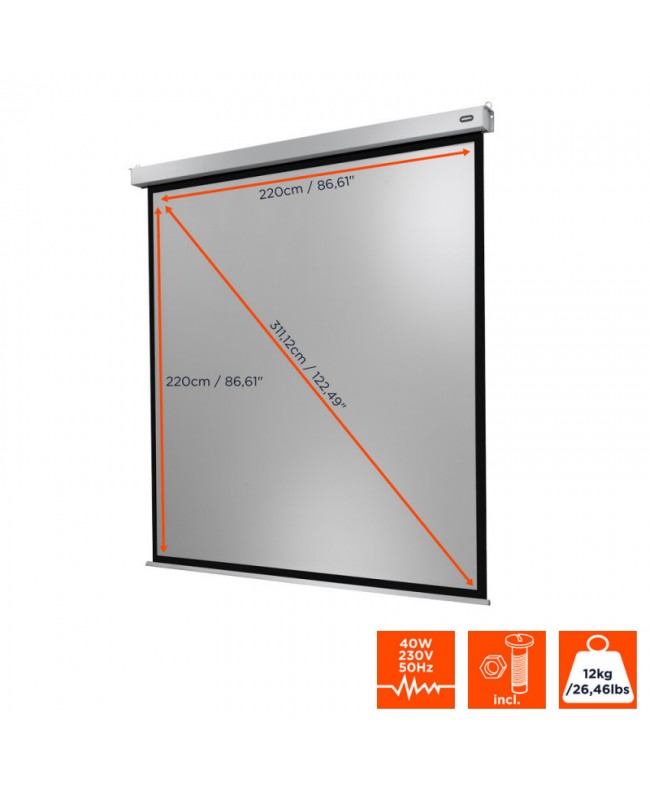 celexon 1090760 Leinwände für Videoprojektoren