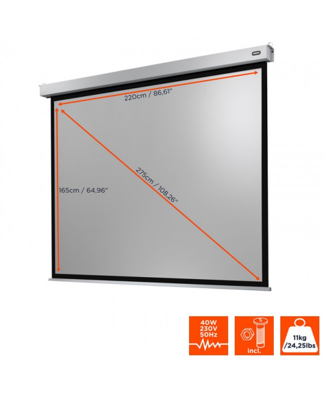 celexon 1090766 Video Projector Screens