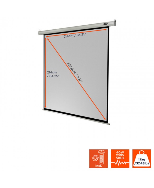 celexon 1090067 Video Projector Screens