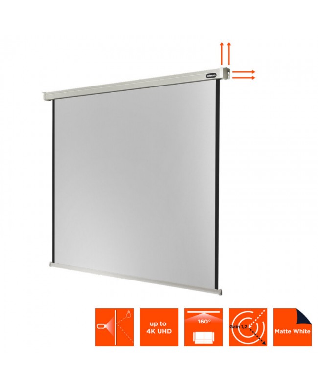 celexon 1090091 Video Projector Screens