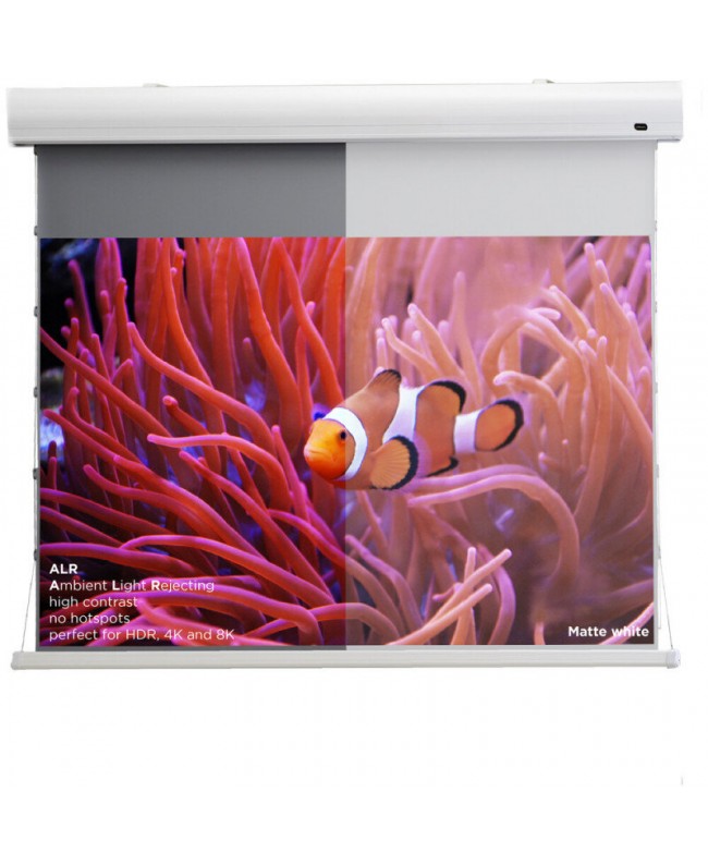 celexon 1000008117 Video Projector Screens