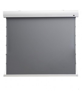 celexon 1000008119 Video Projector Screens