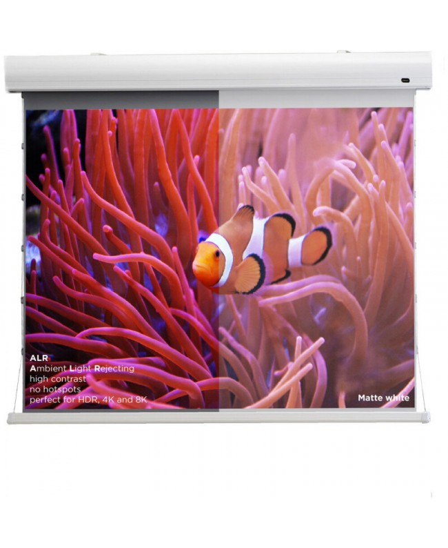 celexon 1000008119 Video Projector Screens