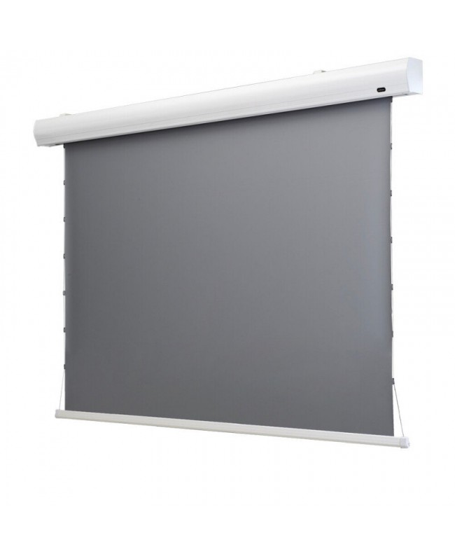 celexon 1000008120 Video Projector Screens
