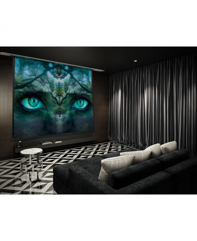 celexon 1000000872 Video Projector Screens