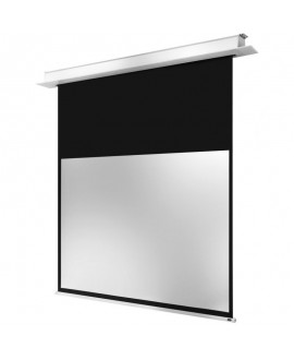 celexon 1000000884 Schermi per proiezioni video