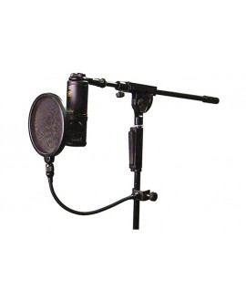 AUDIX PD133 Popkiller