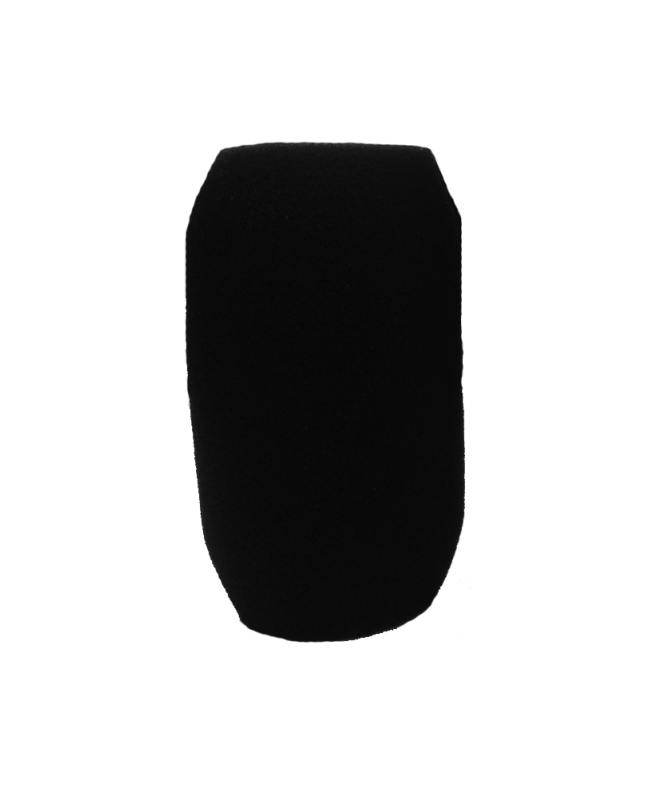 ELECTRO VOICE WS-PC1 Antivento