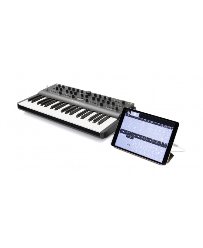 MODAL ELECTRONICS ARGON8 (37 KEYS) Synthesizer
