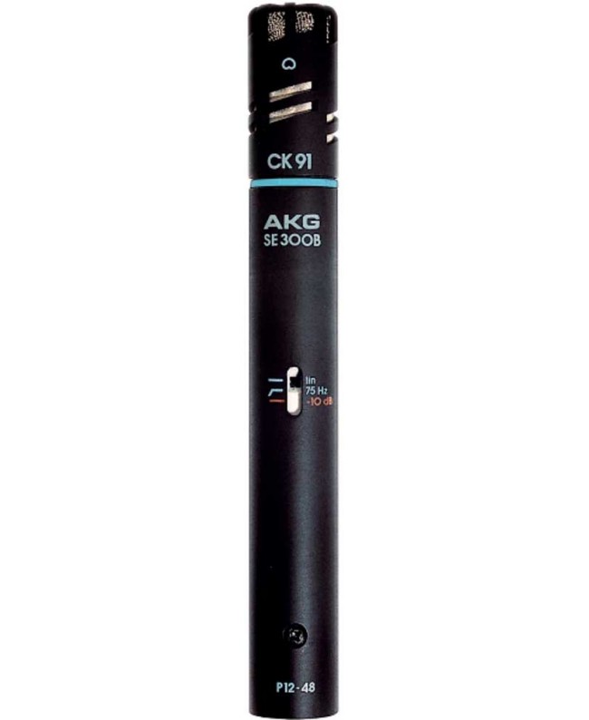 AKG C391B Microfoni a condensatore con diaframma piccolo