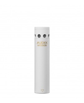 AUDIX M1250BWO Microfoni a condensatore con diaframma piccolo